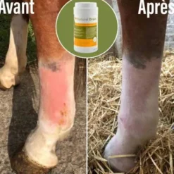 Outlet Drainage hépatique et rénal Natural'Drain - Drainage Du Cheval·Drainage Des Reins|Drainage Du Cheval·Drainage Du Foie