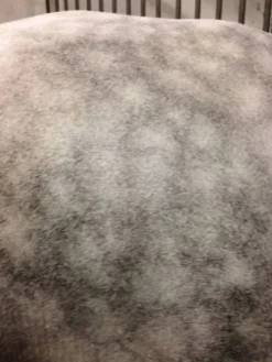 Outlet Easy Shine Mouss - Laboratoire Shampoings Pour Chevaux