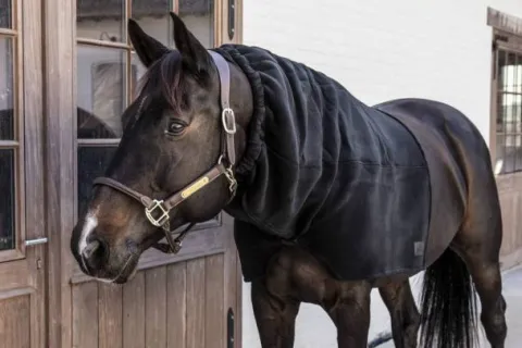 Sale Echarpe Heavy Fleece - Kentucky Couvertures Cheval