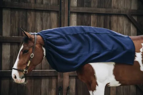 Echarpe polaire - Kentucky Couvertures Cheval