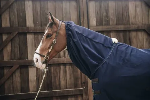 Echarpe polaire - Kentucky Couvertures Cheval