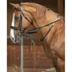 Online Enrenement Thiedman / Howlett Enrênements·Enrênements Howlett