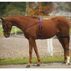 New Enrênement de longe Enrênement Pour Longer