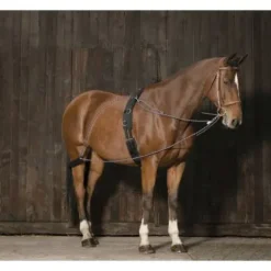 Best Enrênement de longe Pessoa Enrênement Pour Longer