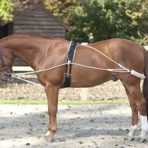 Sale Enrênement en corde Pessoa Enrênement Pour Longer