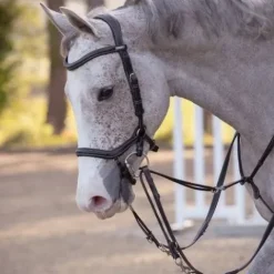 Outlet Enrênement Howlett - Jump'in Enrênements·Enrênements Howlett