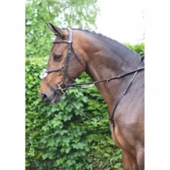 Outlet Enrênement Howlett - Jump'in Enrênements·Enrênements Howlett