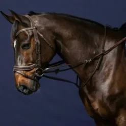 New Enrênement Howlett Working Collection - Dy'on Enrênements·Enrênements Howlett