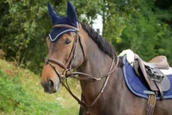 Discount Enrênement Thiedeman training aid Enrênements·Martingale