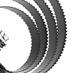 Clearance Etrille americaine - Étrilles