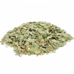 Sale Eucalyptus Appareil Respiratoire·Difficultés Respiratoires|Appareil Respiratoire·Toux Et Irritations