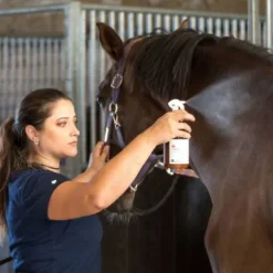Best Farrierfly Spray Répulsif Longue durée - Essentiel Force 2 Insectifuges Et Répulsifs