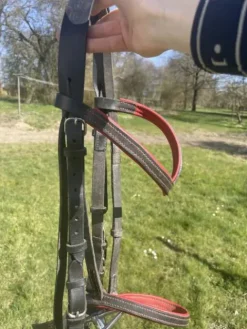 Sale Filet Bridons Et Brides·Bridon Cuir