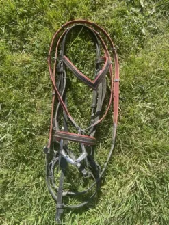 Sale Filet Bridons Et Brides·Bridon Cuir