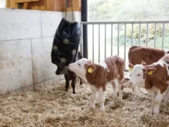 Best Filet à foin HayBag PVC - Matériel Pour L'Alimentation·Filets à Foin