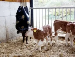 Best Filet à foin HayBag PVC - Matériel Pour L'Alimentation·Filets à Foin