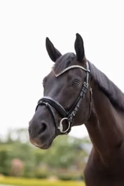 Sale Filet anatomique Grayson Bridons Et Brides·Bridon Cuir