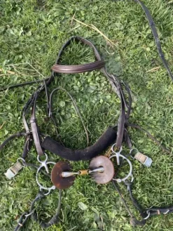 Best Filet Bel Ami, de Alain Ventre Bridons Et Brides·Bridon Cuir