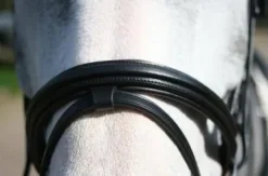 Sale Filet en cuir muserolle combinée gamme Epsilon Bridons Et Brides·Bridon Licol|Bridons Et Brides·Bridon Cuir