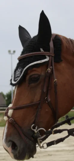 Sale Filet havane cheval Bridons Et Brides·Bridon Cuir