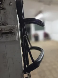 New Filet arika Bridons Et Brides·Bridon Cuir