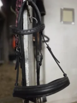 New Filet arika Bridons Et Brides·Bridon Cuir