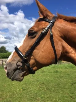 Best filet noir taille cheval Bridons Et Brides·Bridon Cuir