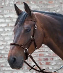 Clearance Filet sans mors Linda Tellington Jones Bridons Et Brides·Filet Sans Mors