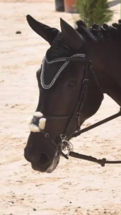 Discount Filet taille cheval noir Bridons Et Brides·Bridon Cuir