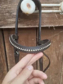 Hot Filet taille L Bridons Et Brides·Bridon Cuir