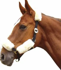 Outlet Fourreau mérinos pour licol - Harry's horse - ensemble de 4 Licols Et Longes