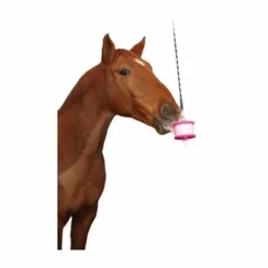 Hot Friandise - 650gr Friandises|Bloc À Lécher / Pierre À Sel