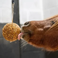 Best Friandise Stall Ball Friandises|Bloc À Lécher / Pierre À Sel