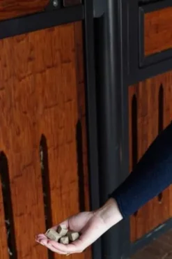 Outlet Friandises pour chevaux - KENTUCKY Friandises