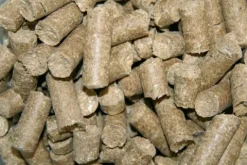 Hot Friandises pour chevaux Classic Delizia® Framboise - Friandises