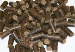 Hot Friandises pour chevaux Classic Delizia® Framboise - Friandises