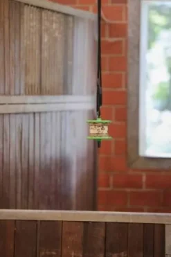 Hot Friandises Sandwich Delizia® - Friandises