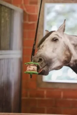 Hot Friandises Sandwich Delizia® - Friandises