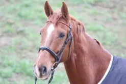 Sale Frontal jaspe rouge - - Cuir en V Bridons Et Brides·Frontal