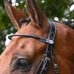 Sale Frontal Monday Collection Week Bridons Et Brides·Frontal