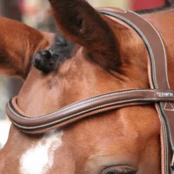 Sale Frontal New York - Collection One Bridons Et Brides·Frontal