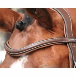 Sale Frontal New York - Collection One Bridons Et Brides·Frontal