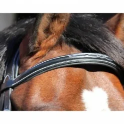 Clearance Frontal Paris - Collection One Jumpin Bridons Et Brides·Frontal