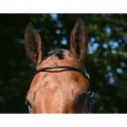 Hot Frontal verni rond Bridons Et Brides·Frontal