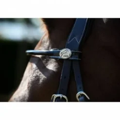 Hot Frontal verni rond Bridons Et Brides·Frontal