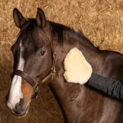 Best Gant De Pansage Merino Harry's Horse Gants De Pansage