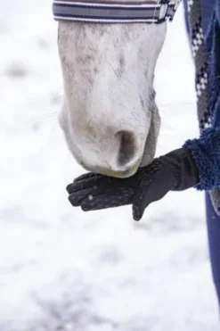 Discount Gants Hiver Digital Femme Gants D'Équitation|Tenue D'Équitation Femme·Gants D'équitation Femme