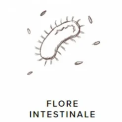 Clearance GastroGuts Appareil Digestif·Stress Gastrique