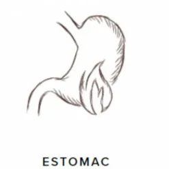 Clearance GastroGuts Appareil Digestif·Stress Gastrique