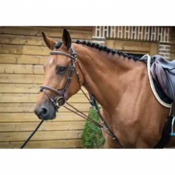 Outlet Gogue - Collection One - Jump'in Enrênements·Gogue